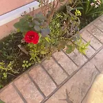 Spiros Place Corfu بيت للعطل آغيوس ستيفانوس