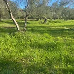 Сasa de vacaciones Spiros Place Corfu