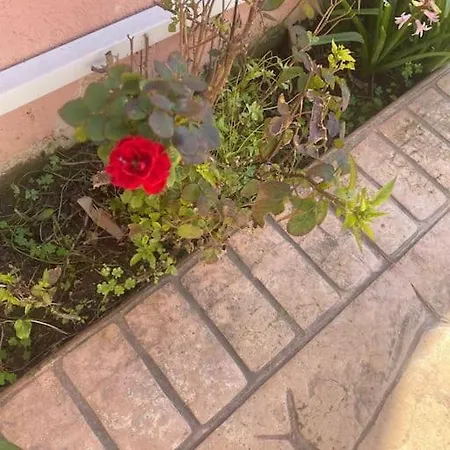 Spiros Place Corfu 度假居 阿吉欧史芬尼