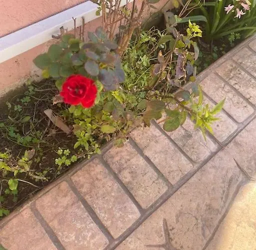 Spiros Place Corfu Σπίτι διακοπών Άγιος Στέφανος