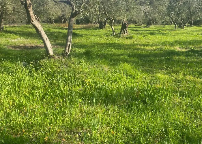 بيت للعطل Spiros Place Corfu