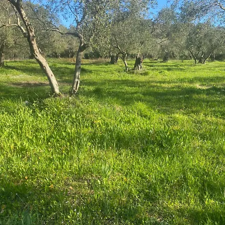 Nyaraló Spiros Place Corfu